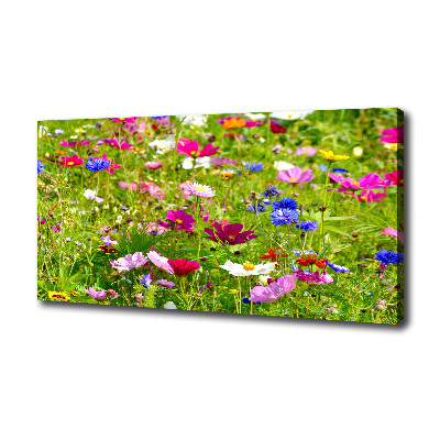 Bild auf leinwand Wildblumen