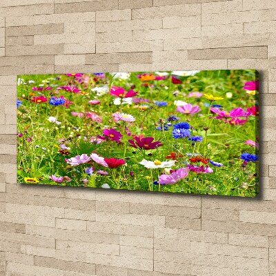 Bild auf leinwand Wildblumen