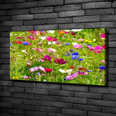 Bild auf leinwand Wildblumen