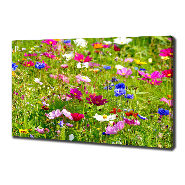 Bild auf leinwand Wildblumen