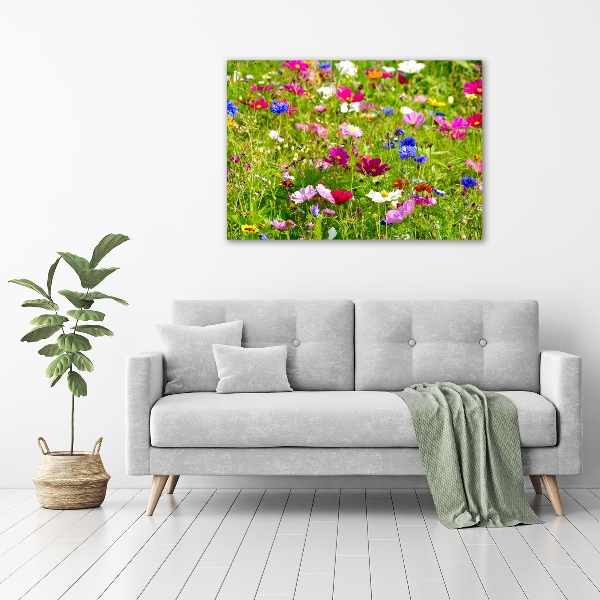 Bild auf leinwand Wildblumen