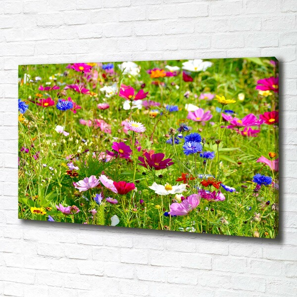 Bild auf leinwand Wildblumen