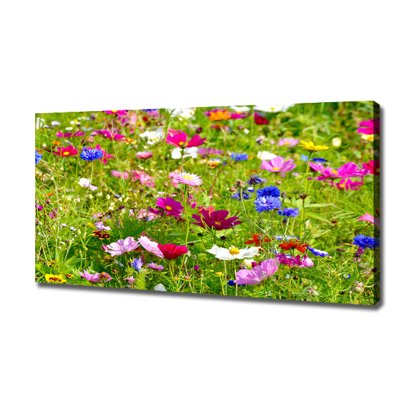 Bild auf leinwand Wildblumen
