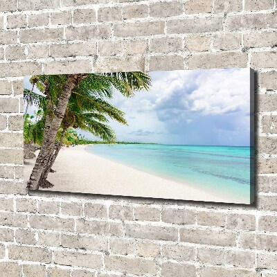 Bild auf leinwand Tropischer Strand