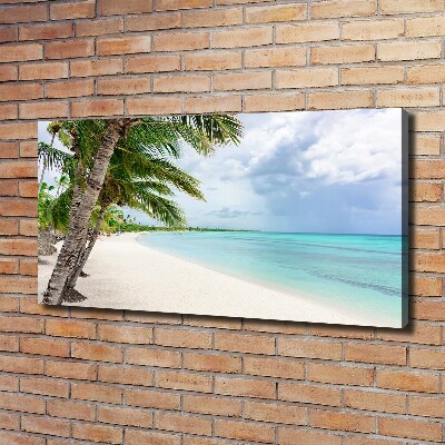 Bild auf leinwand Tropischer Strand