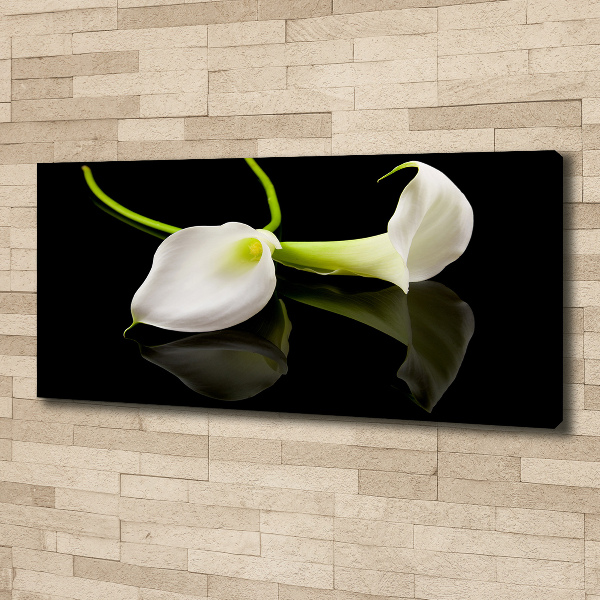 Bild auf leinwand Calla