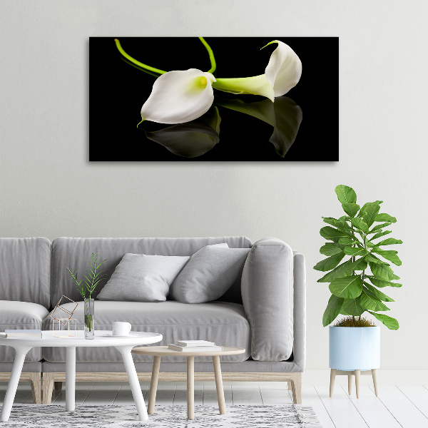 Bild auf leinwand Calla