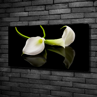 Bild auf leinwand Calla