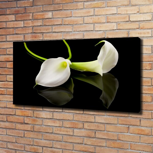 Bild auf leinwand Calla