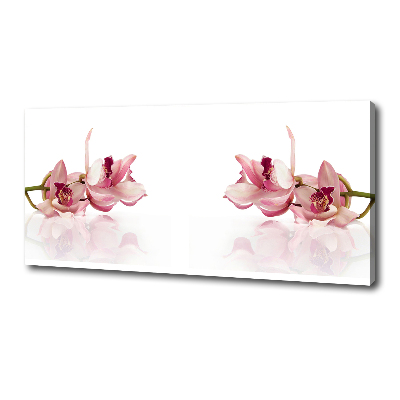 Wandbild Orchidee