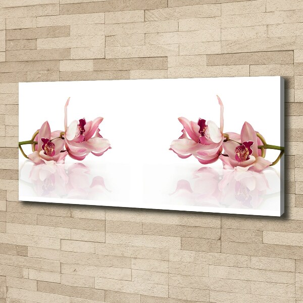 Wandbild Orchidee