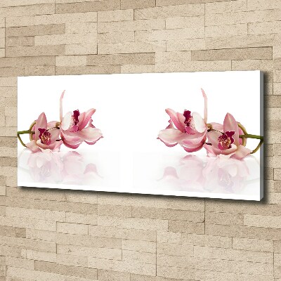 Wandbild Orchidee