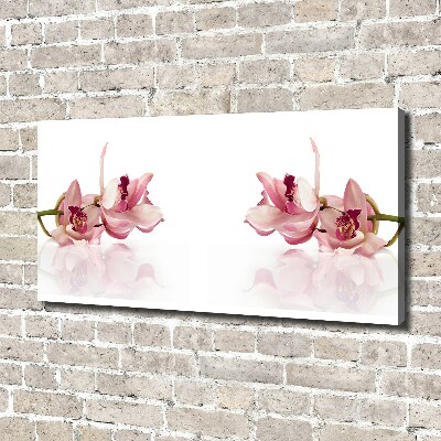 Wandbild Orchidee