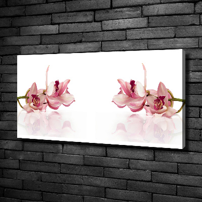 Wandbild Orchidee
