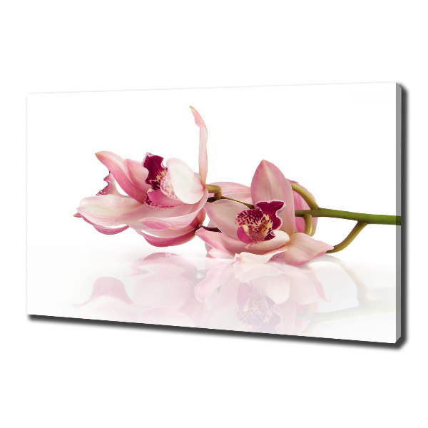 Wandbild Orchidee