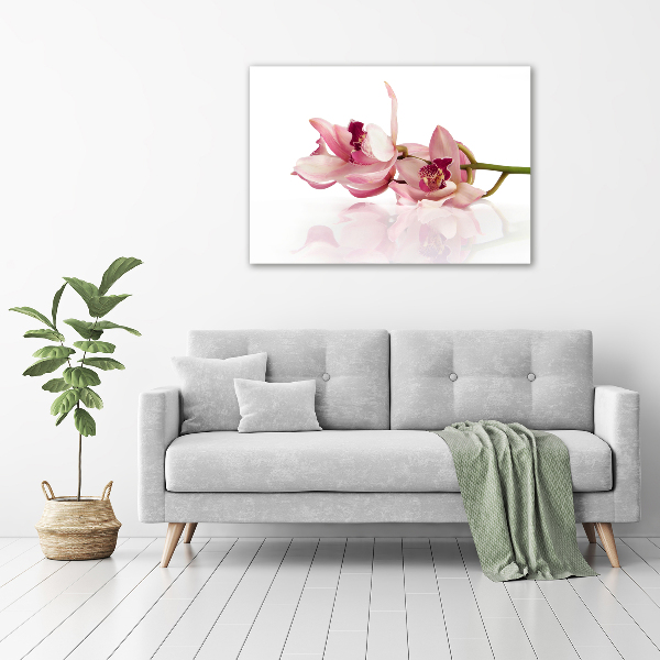Wandbild Orchidee