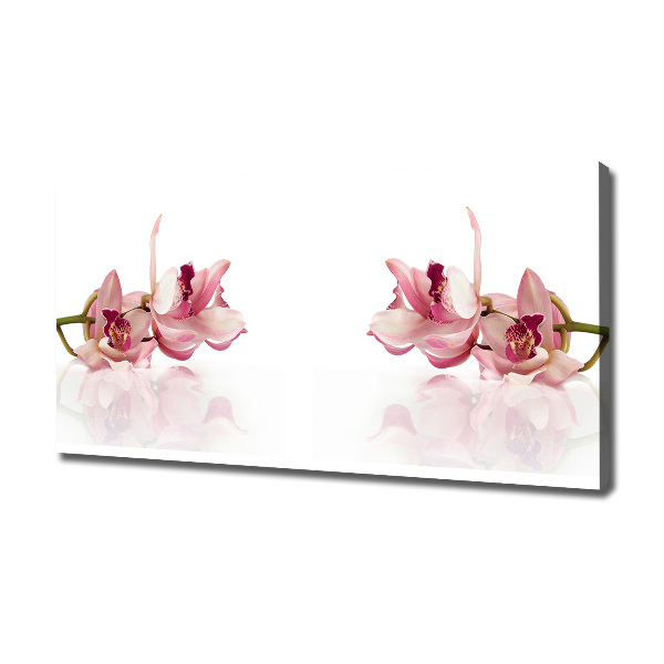 Wandbild Orchidee