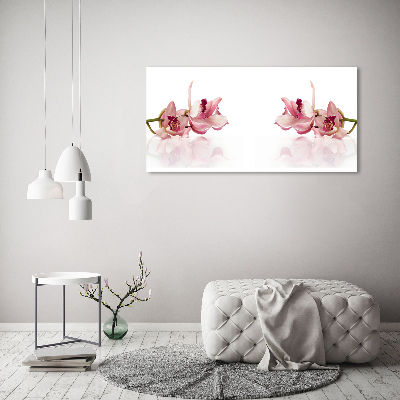 Wandbild Orchidee