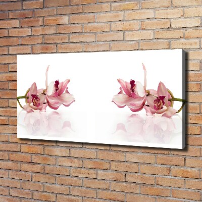 Wandbild Orchidee
