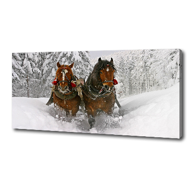 Fotobild Schlittenfahrt