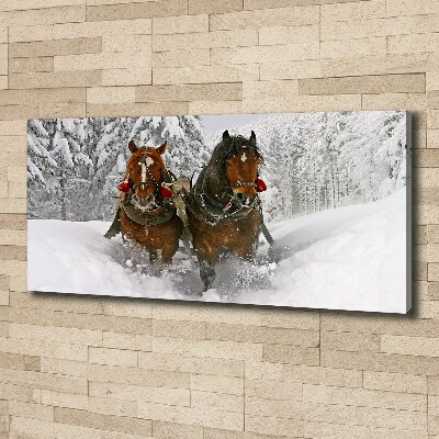 Fotobild Schlittenfahrt