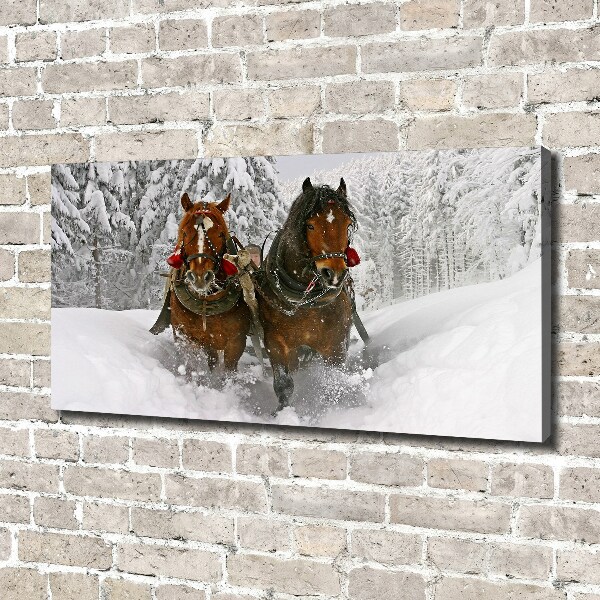 Fotobild Schlittenfahrt