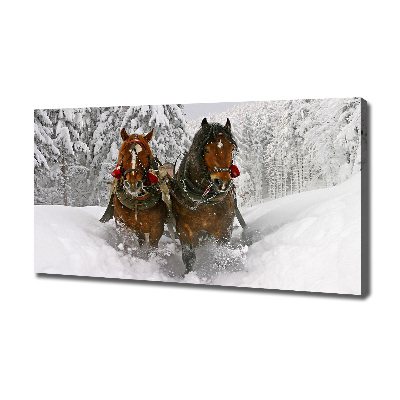 Fotobild Schlittenfahrt