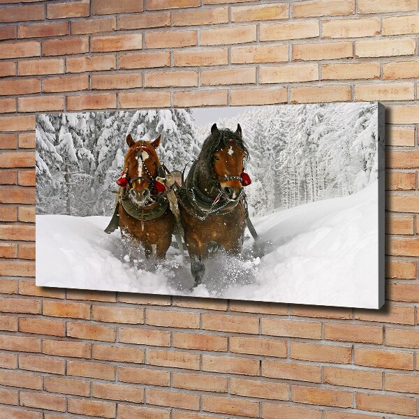 Fotobild Schlittenfahrt