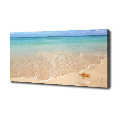 Fotobild Seesterne am Strand