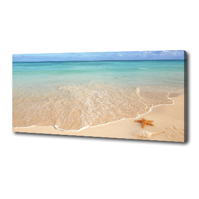 Fotobild Seesterne am Strand