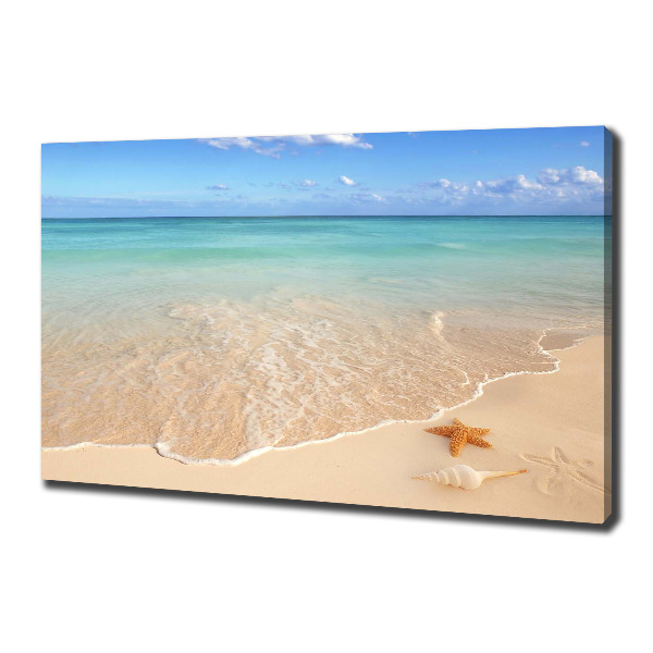 Fotobild Seesterne am Strand