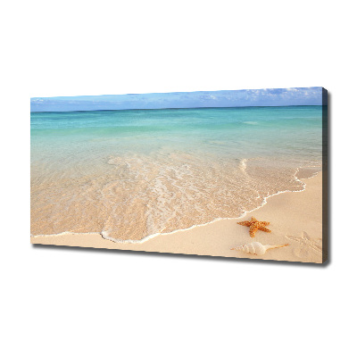 Fotobild Seesterne am Strand