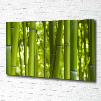 Fotobild Bambus