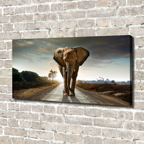 Wandbild Laufender Elefant