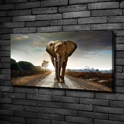 Wandbild Laufender Elefant