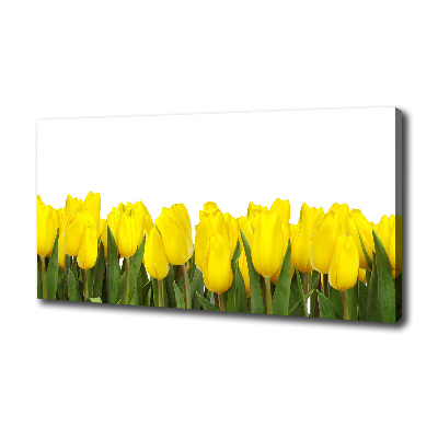 Bild auf leinwand Gelbe Tulpen