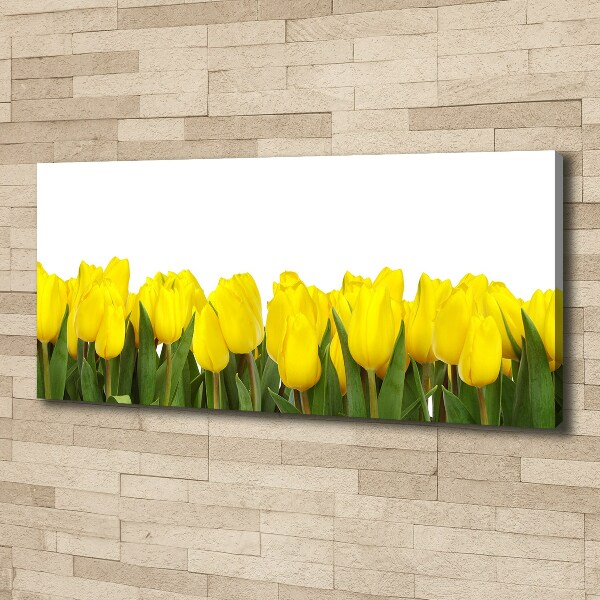 Bild auf leinwand Gelbe Tulpen