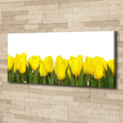 Bild auf leinwand Gelbe Tulpen
