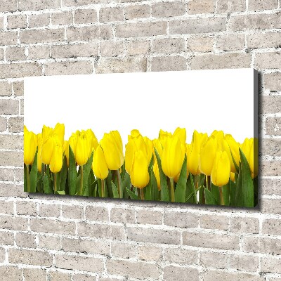 Bild auf leinwand Gelbe Tulpen