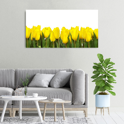 Bild auf leinwand Gelbe Tulpen