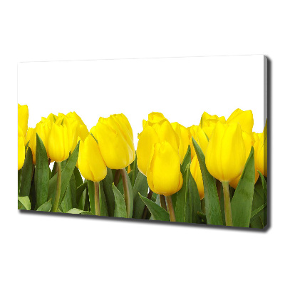Bild auf leinwand Gelbe Tulpen