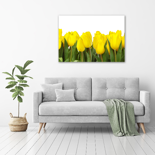 Bild auf leinwand Gelbe Tulpen