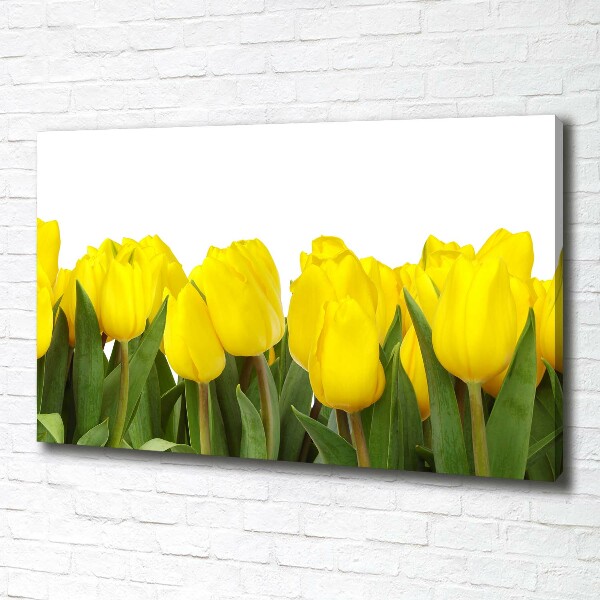 Bild auf leinwand Gelbe Tulpen