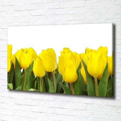 Bild auf leinwand Gelbe Tulpen