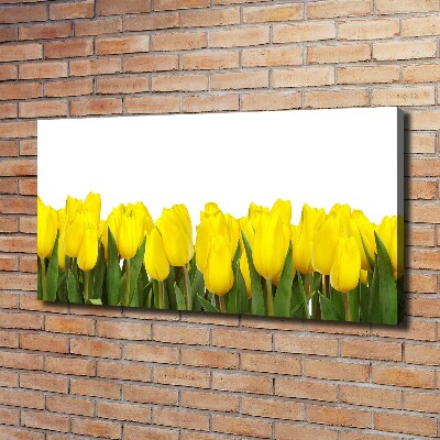 Bild auf leinwand Gelbe Tulpen