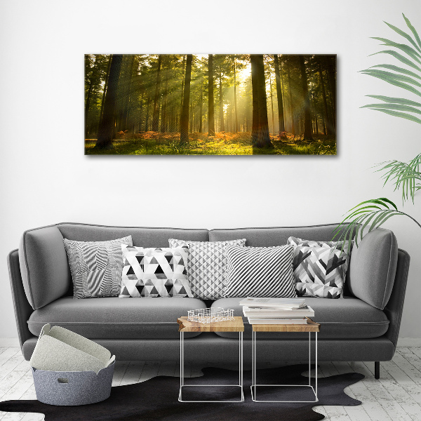 Wandbild Wald in der Sonne