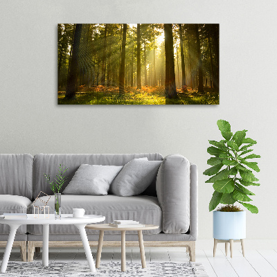 Wandbild Wald in der Sonne