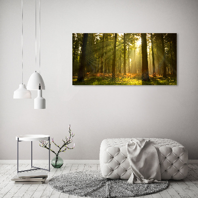 Wandbild Wald in der Sonne