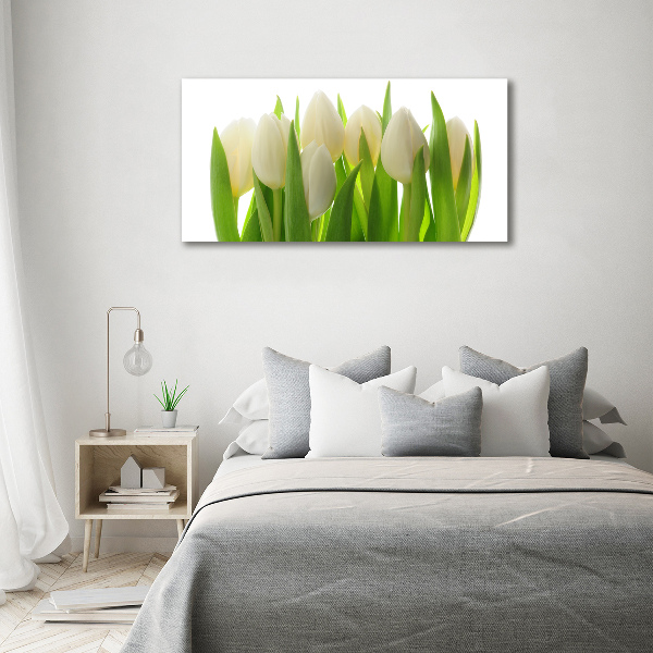 Fotobild Tulpen