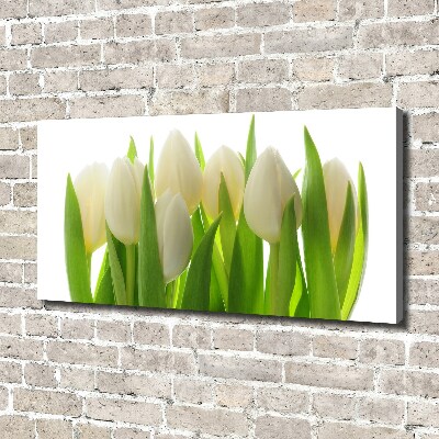 Fotobild Tulpen